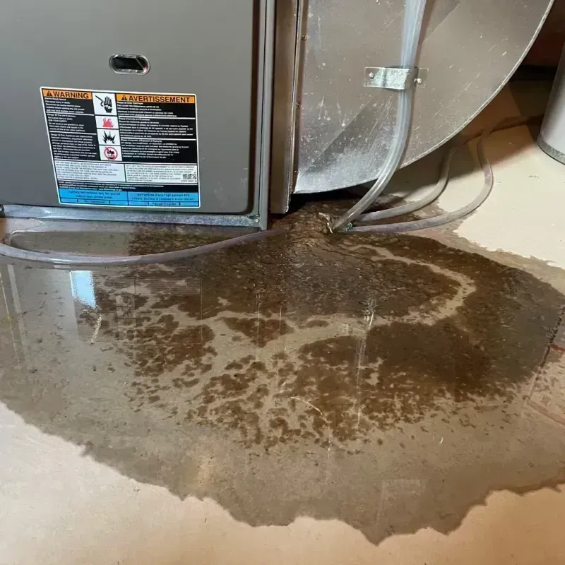 Appliance Leak Cleanup in Ramsey, IL